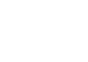 Logo SmartSer
